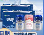 新疆西域春奶啤300ml*6/12罐整箱乳酸发酵风味饮料含乳饮品非啤酒