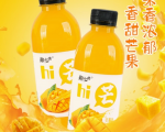 果味饮料饮品沙棘汁橙汁360ml*24瓶整箱特价网红爆款多口味芒果汁